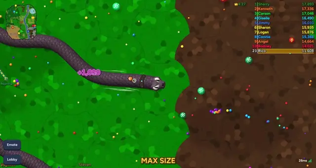 Max size